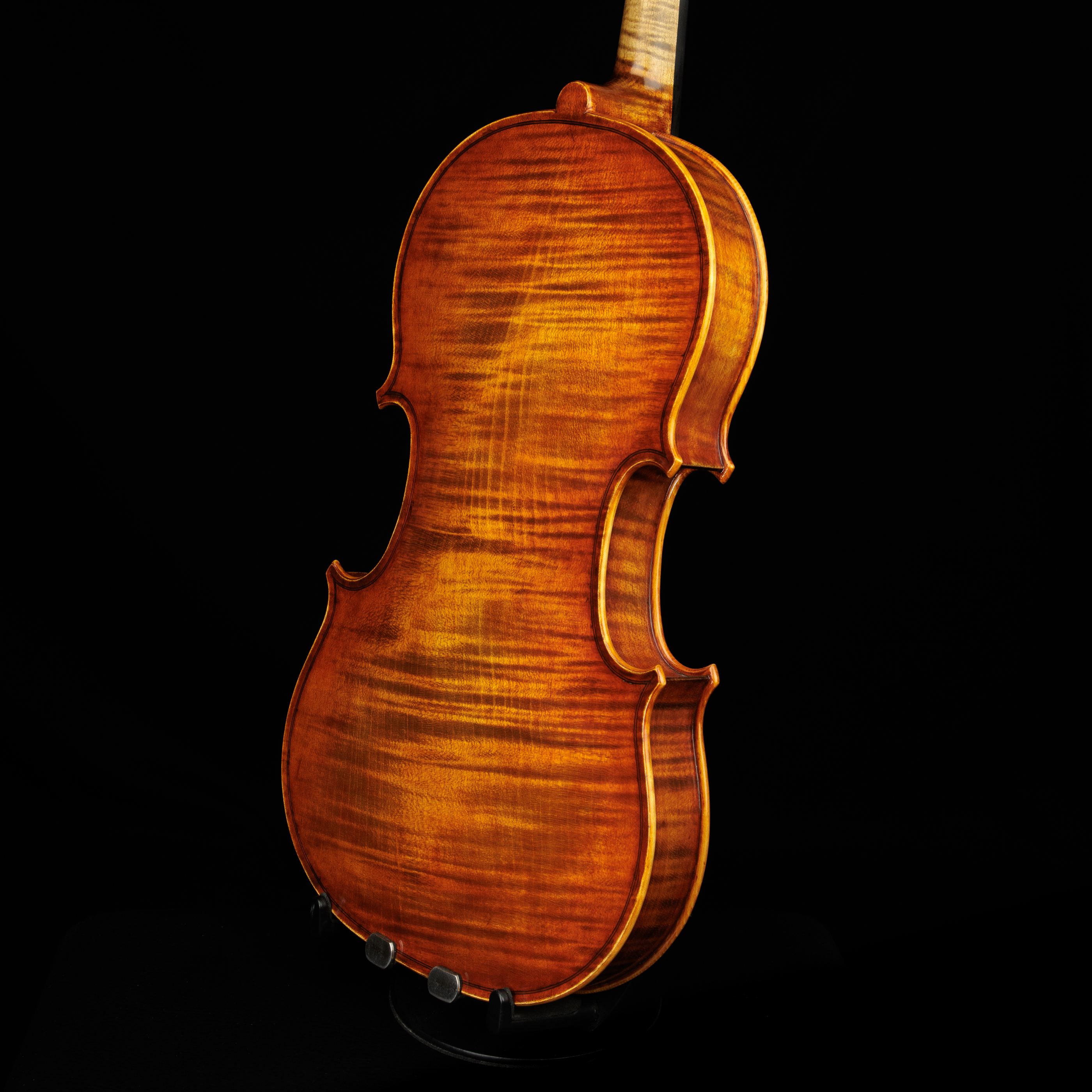 Violino corpo